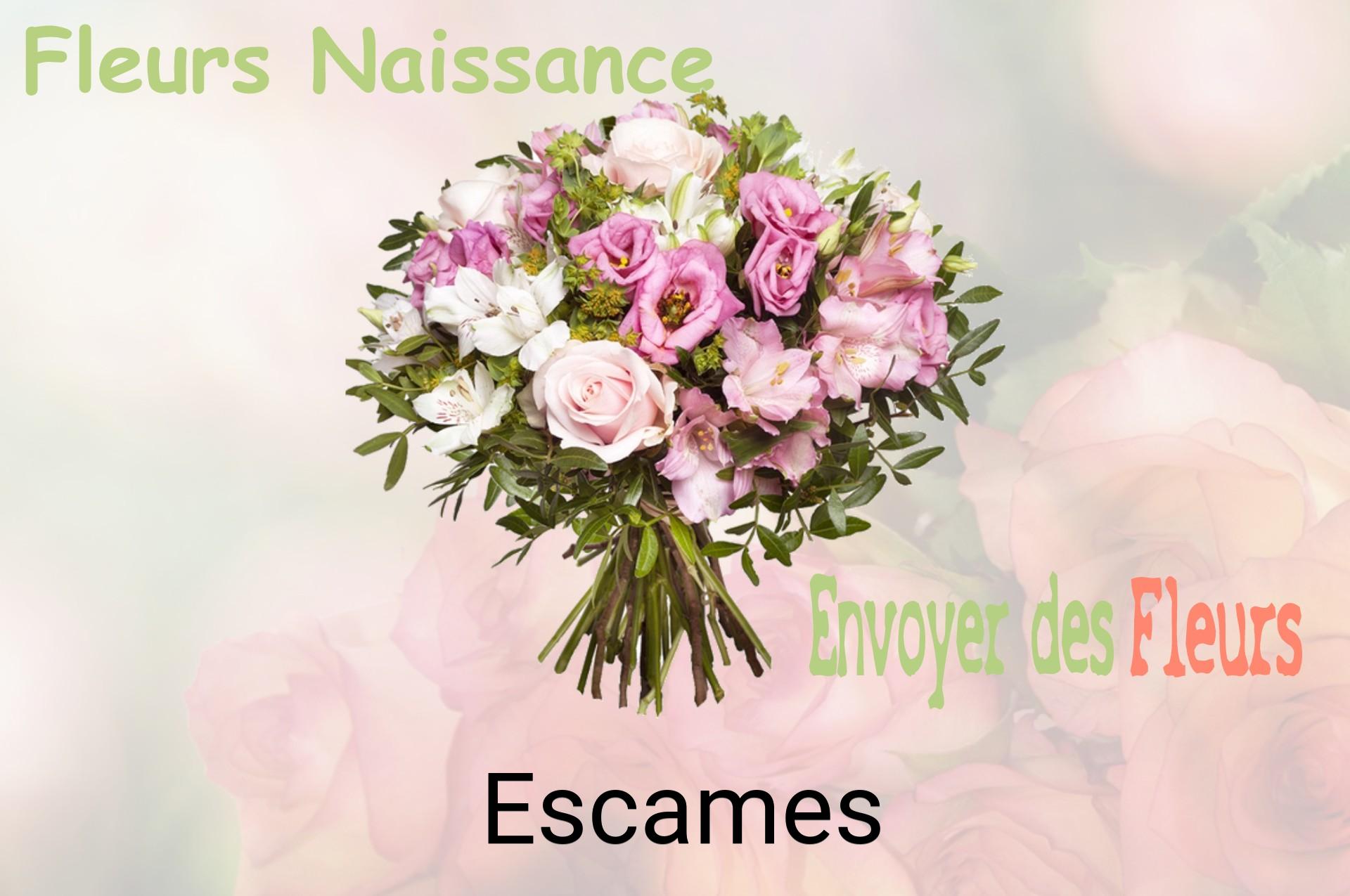 Bouquet de fleurs de naissance livré à Escames